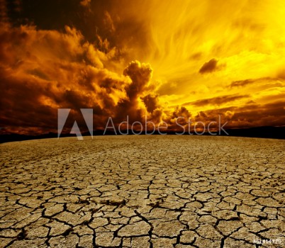 Picture of Paisaje deserticoCielo nuboso y suelo agrietado